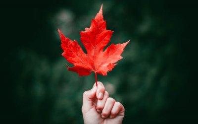 Morgen am Sonntag (12.10.25) ist es endlich soweit – unser Klönschnack & Tausch findet wieder statt!