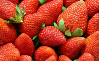 Lust auf mehr Erdbeeren?