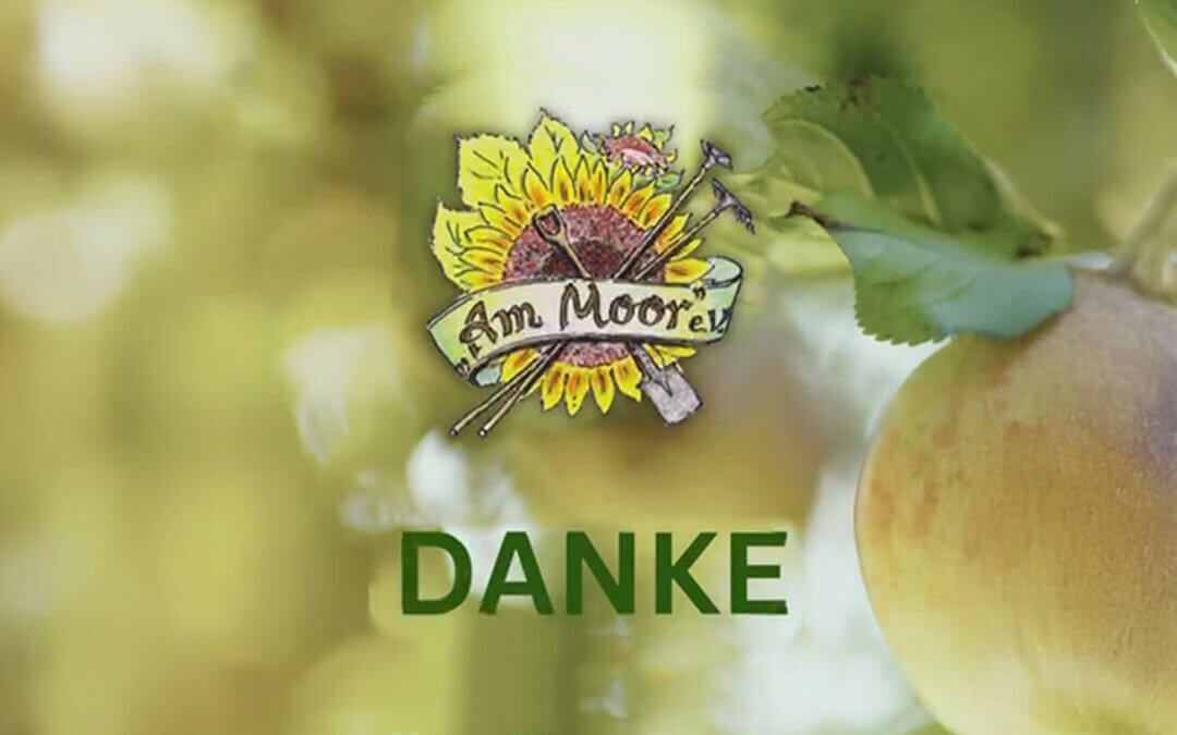 Unser Jahresrückblick 2025 im Video