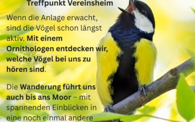 Früh raus lohnt sich!