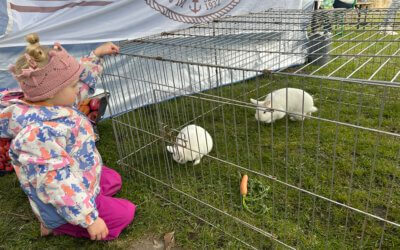 So viele kleine und große Besucher beim gestrigen Kinder-Osterfest – wie schön! 🐰