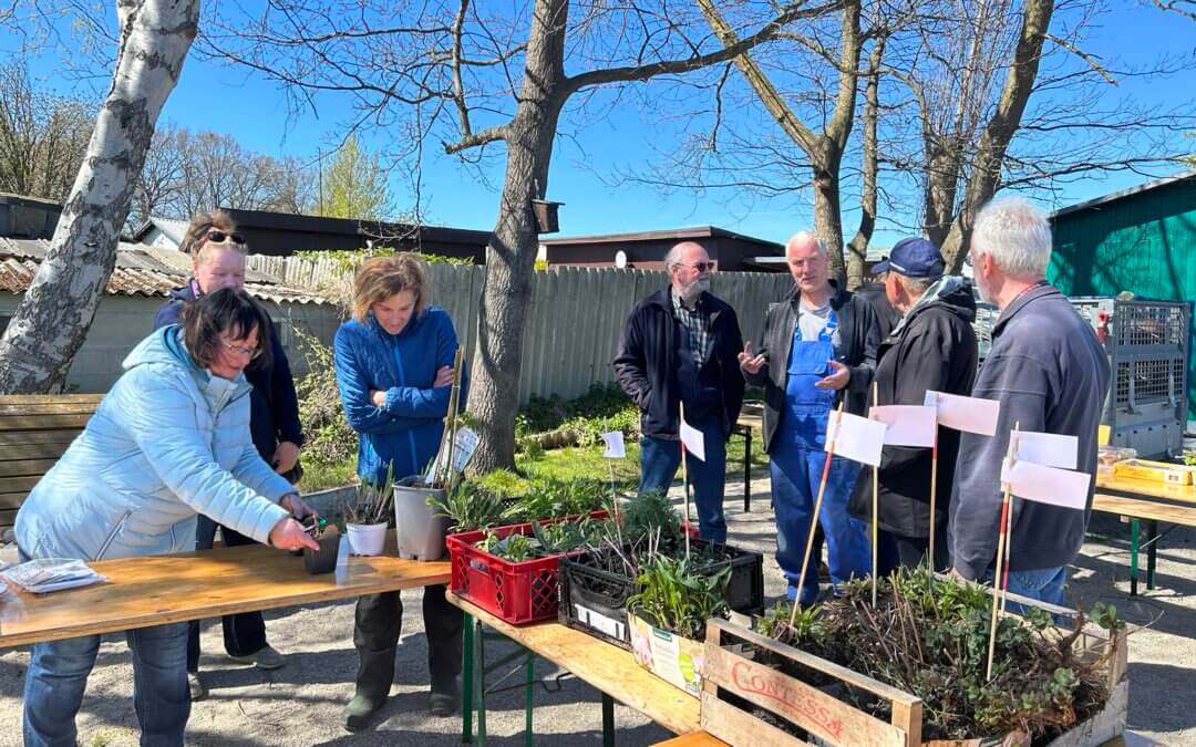 Was für ein lebendiger Sonntag bei uns am Grünen Schuppen