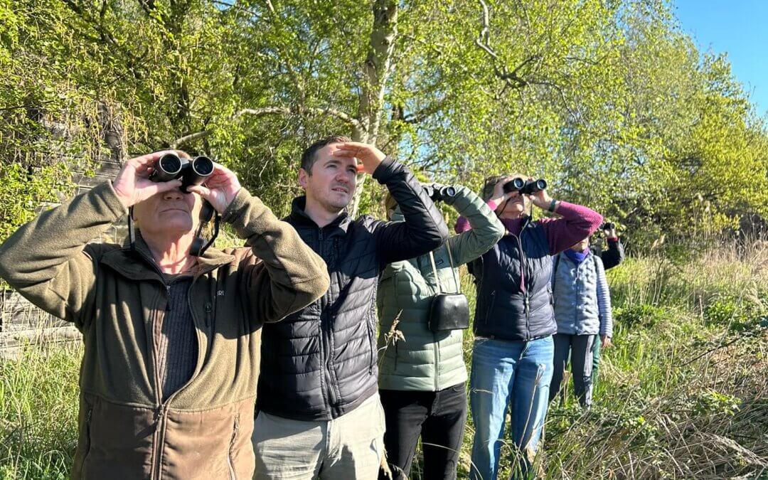 Früh unterwegs – und es hat sich gelohnt.🐦