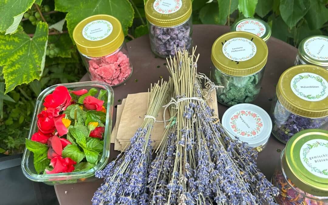 Kapuzinerkresse, essbare Blütenschätze & ganz viel zum Ausprobieren