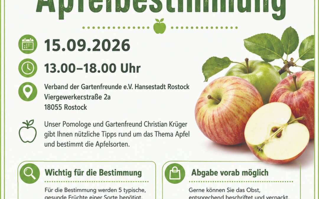 Unsere Tipps zum Sonntagsfrühstück: Rund um den Apfel
